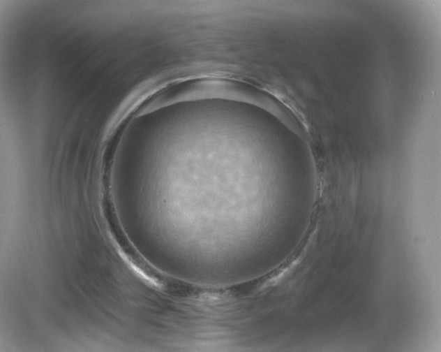 X0000083040101200702021202