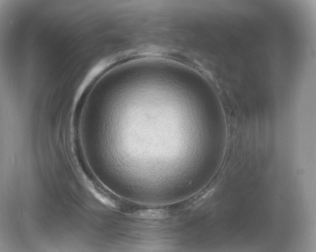 X0000083040102200702021202