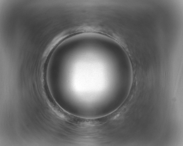 X0000083040103200702021202