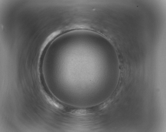 X0000083040104200702021202