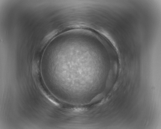 X0000083040105200702021202