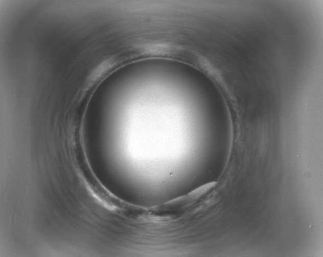 X0000083040106200702021202