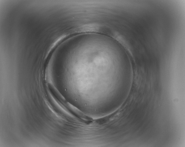 X0000083040107200702021202