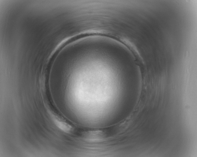 X0000083040108200702021202