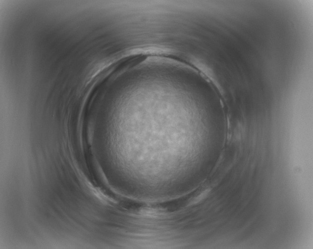 X0000083040109200702021202