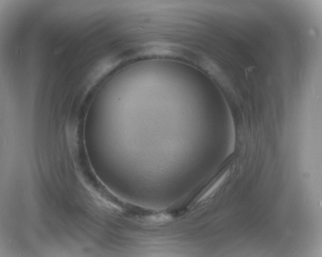 X0000083040112200702021202