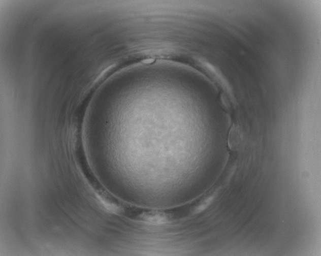 X0000083040113200702021202