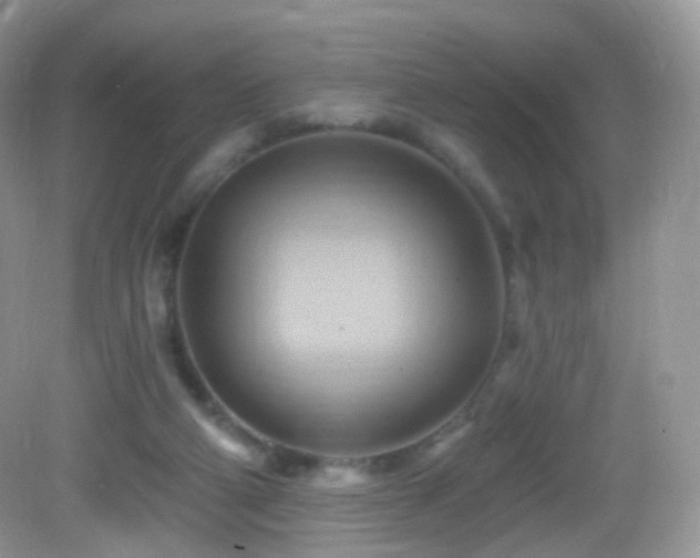 X0000083040114200702021202