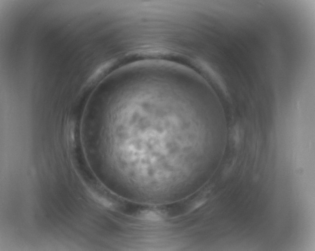 X0000083040115200702021202