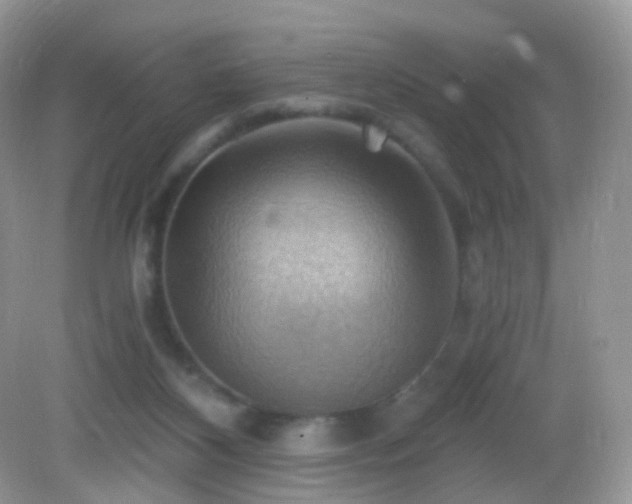 X0000083040116200702021202