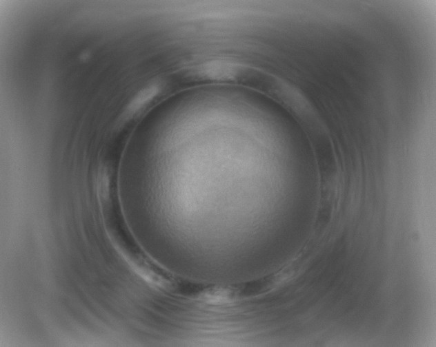 X0000083040120200702021202