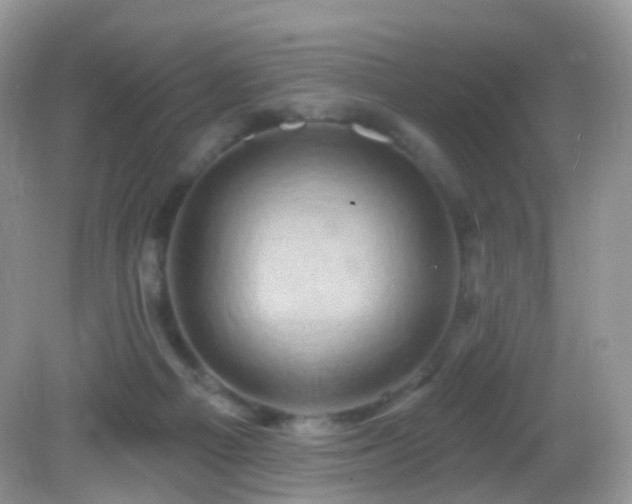 X0000083040121200702021202