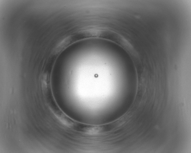 X0000083040122200702021202