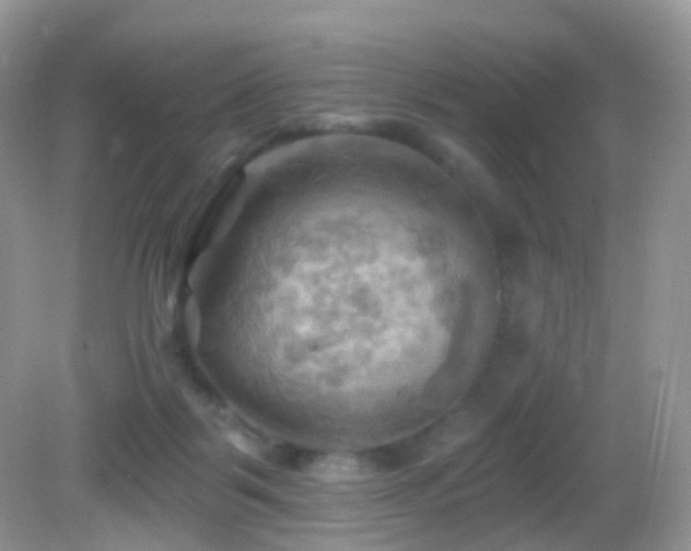 X0000083040123200702021202