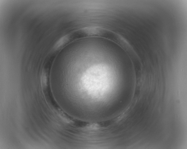 X0000083040124200702021202