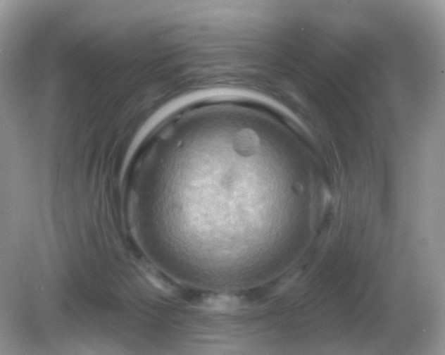 X0000083040125200702021202