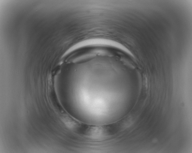 X0000083040127200702021202