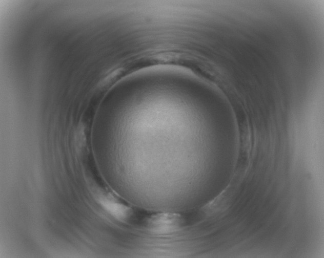 X0000083040128200702021202