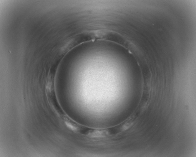 X0000083040129200702021202