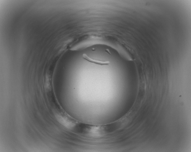 X0000083040130200702021202