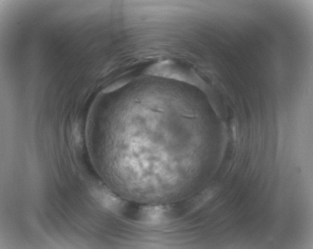 X0000083040131200702021202