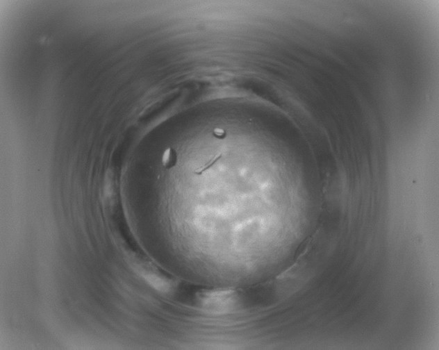 X0000083040132200702021202