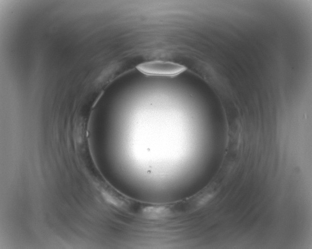 X0000083040133200702021201