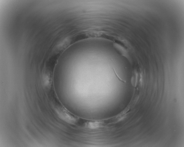 X0000083040134200702021201