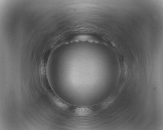 X0000083040137200702021201