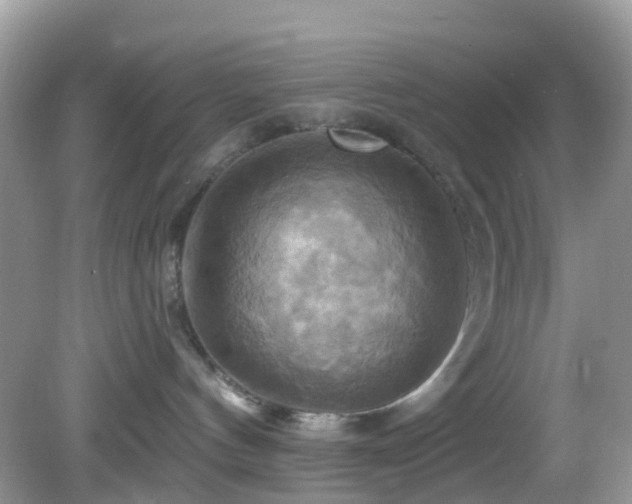 X0000083040144200702021201