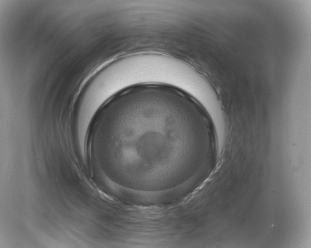 X0000083040146200702021201