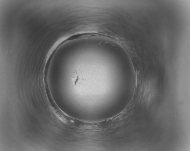 X0000083040147200702021201