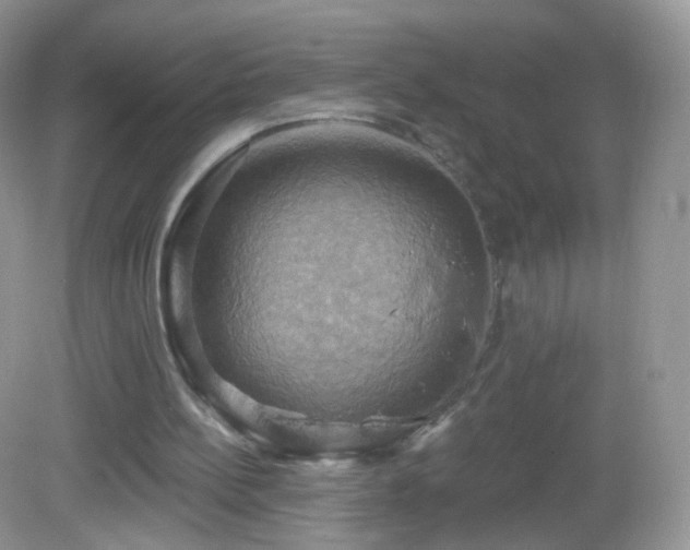 X0000083040148200702021201