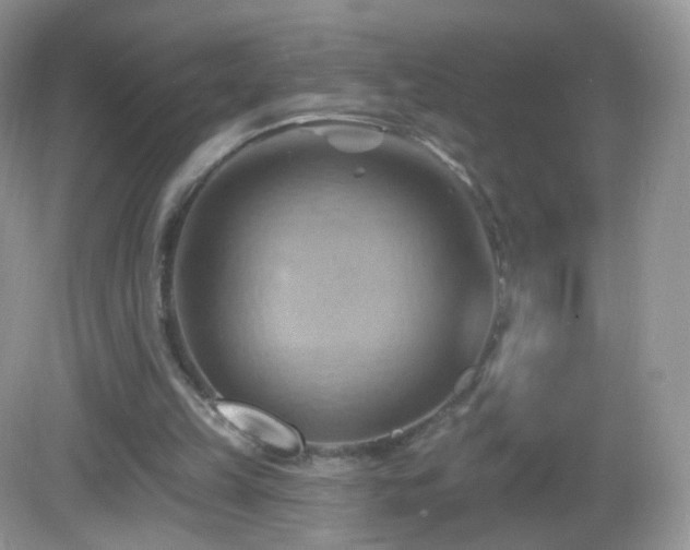 X0000083040149200702021201