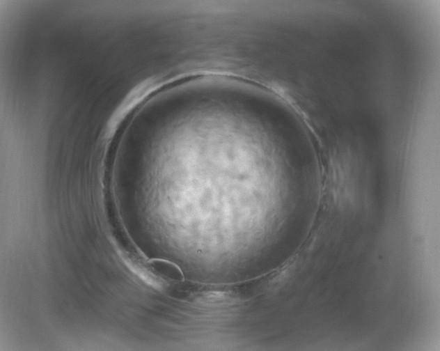 X0000083040151200702021201