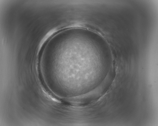 X0000083040152200702021201