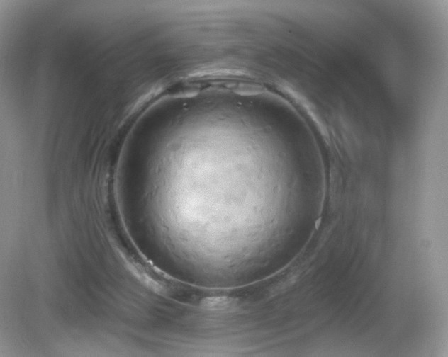 X0000083040153200702021201