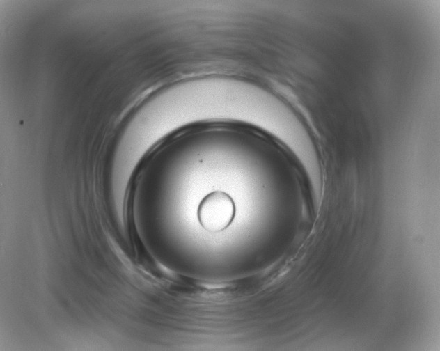 X0000083040154200702021201