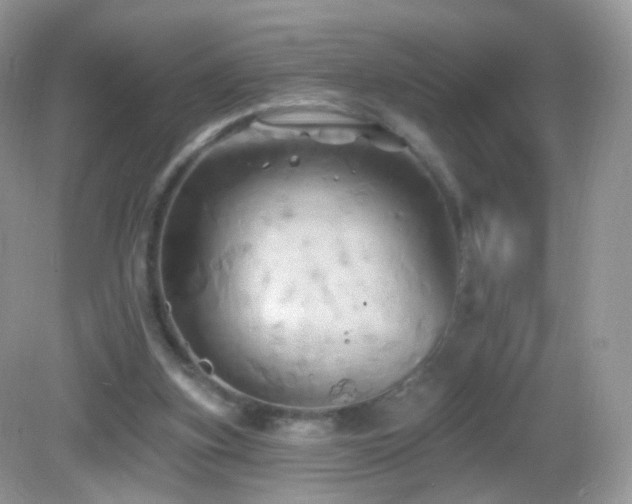 X0000083040155200702021201