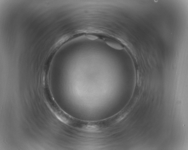 X0000083040157200702021201