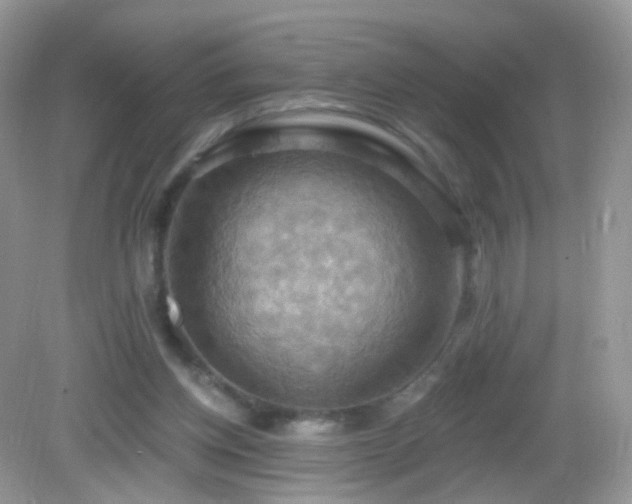 X0000083040158200702021201