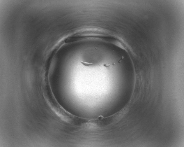 X0000083040159200702021201