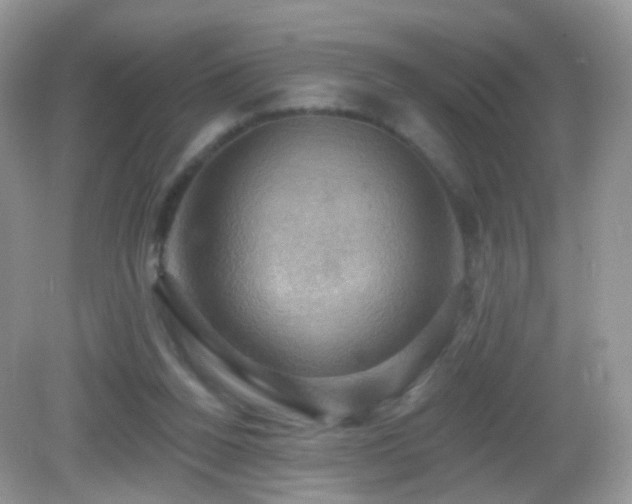 X0000083040160200702021201