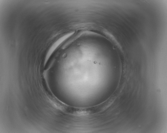 X0000083040161200702021201