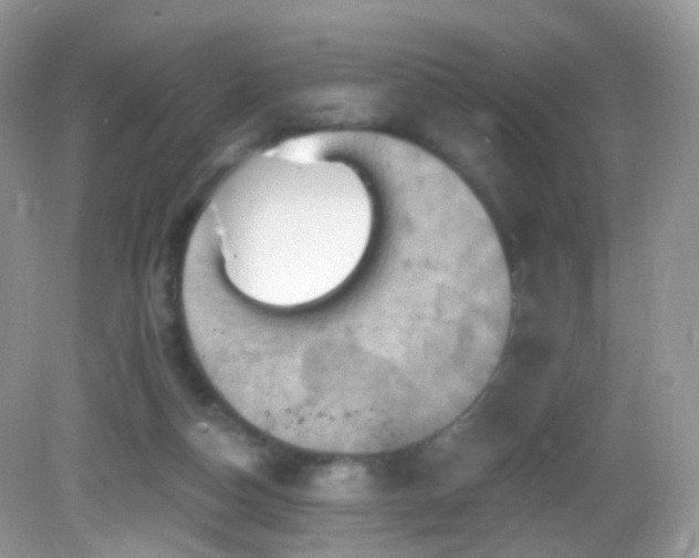 X0000083040162200702021201