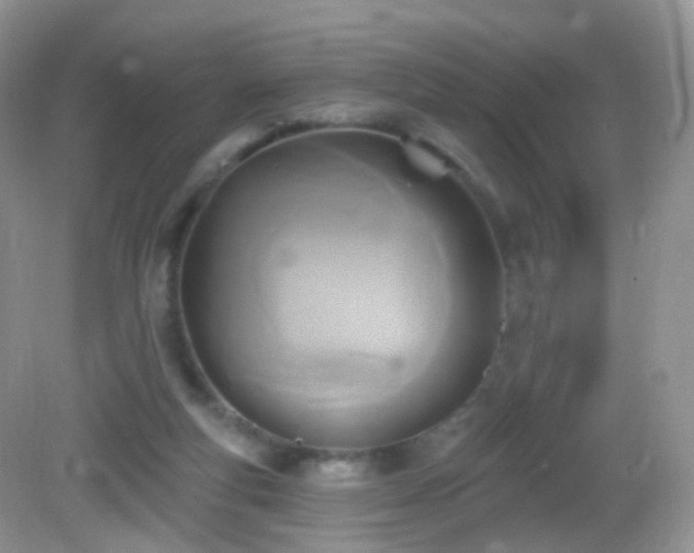 X0000083040163200702021201