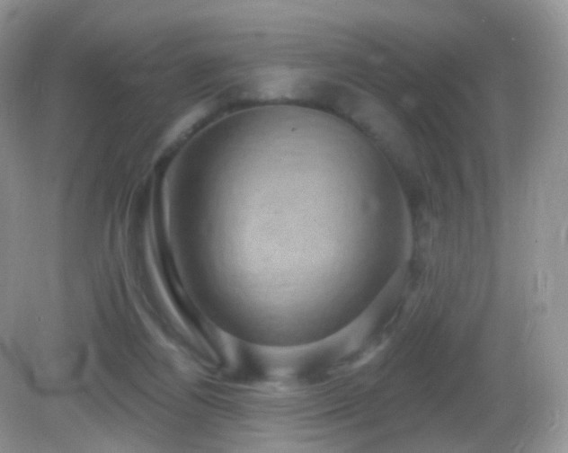 X0000083040164200702021201