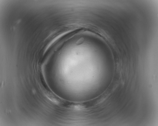 X0000083040165200702021201