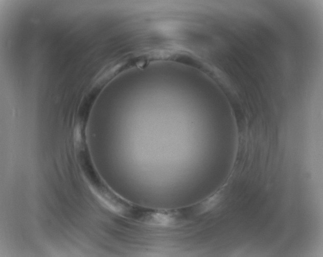 X0000083040166200702021201