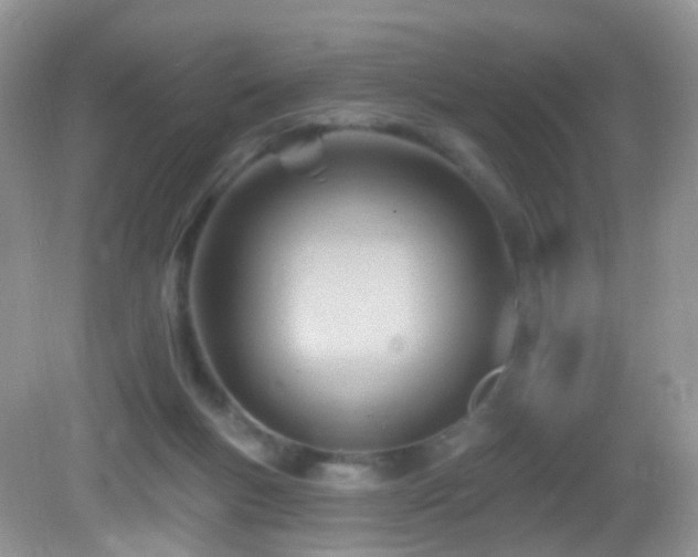 X0000083040167200702021201